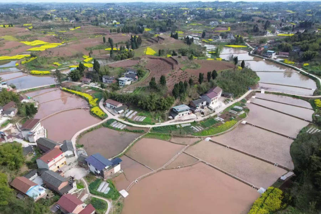 1277�Ǽʵ���(�й���)�ٷ���Ϸ��ַ