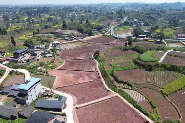 1277�Ǽʵ���(�й���)�ٷ���Ϸ��ַ